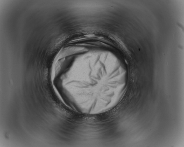 X0000091470066200709131800