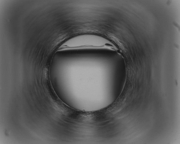 X0000091470071200709131800