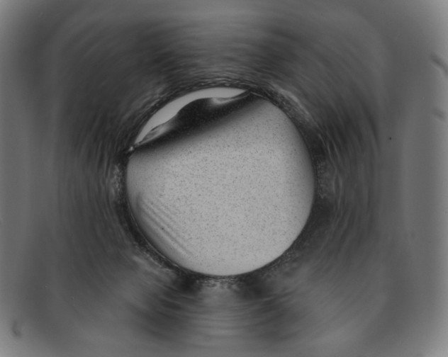 X0000091470077200709131800