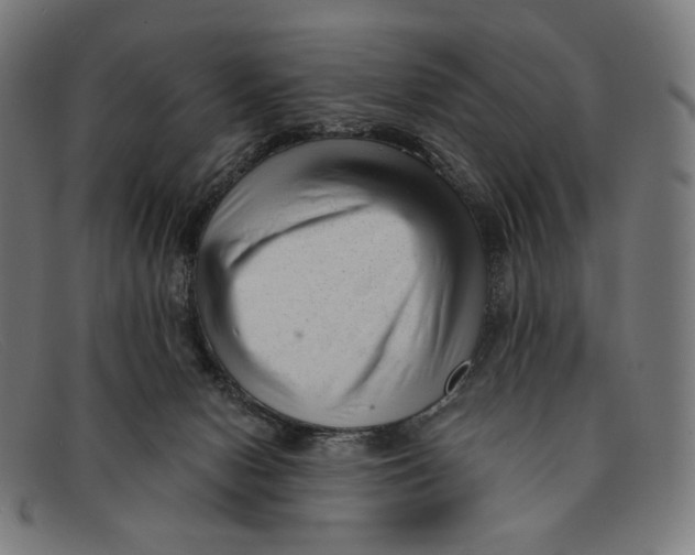 X0000091470078200709131800