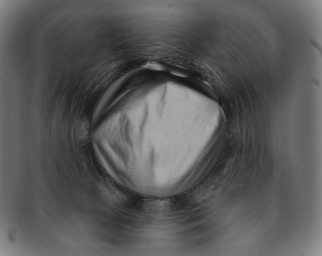 X0000091470081200709131801