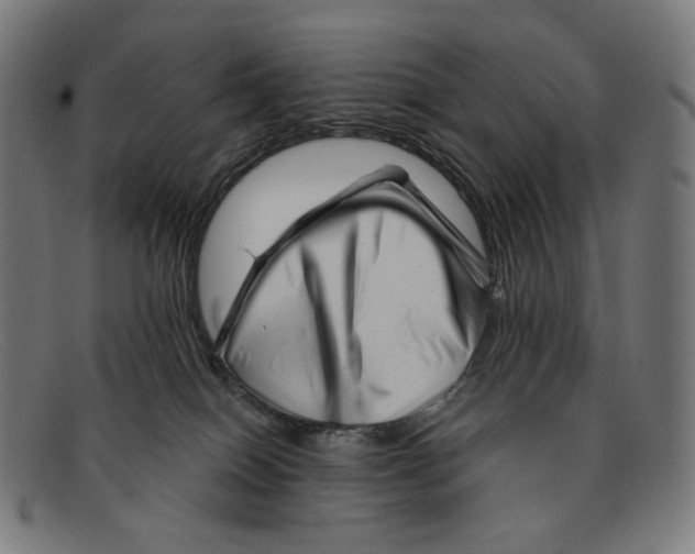 X0000091470086200709131801