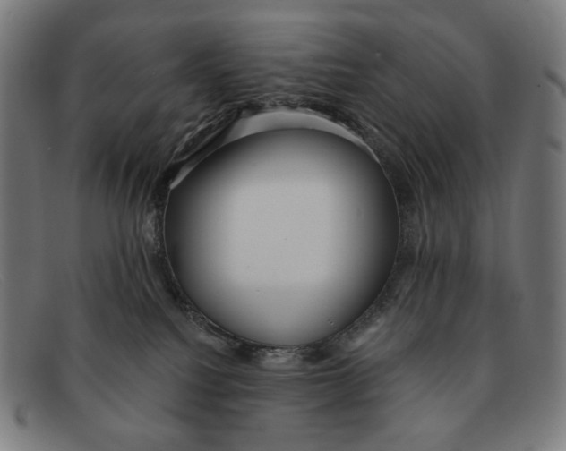 X0000091470088200709131801