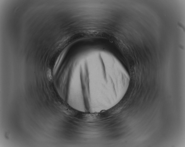 X0000091470089200709131801