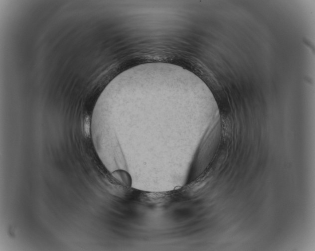 X0000091470095200709131801