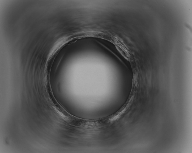 X0000091470101200709131800