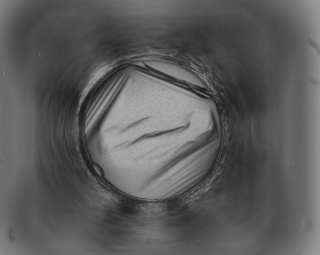 X0000091470102200709131800