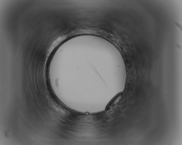 X0000091470104200709131800