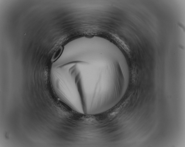 X0000091470113200709131800