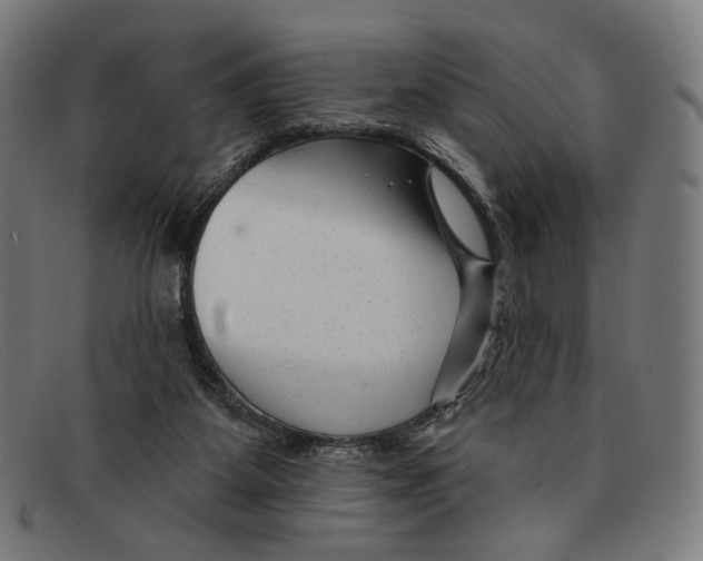 X0000091470115200709131800