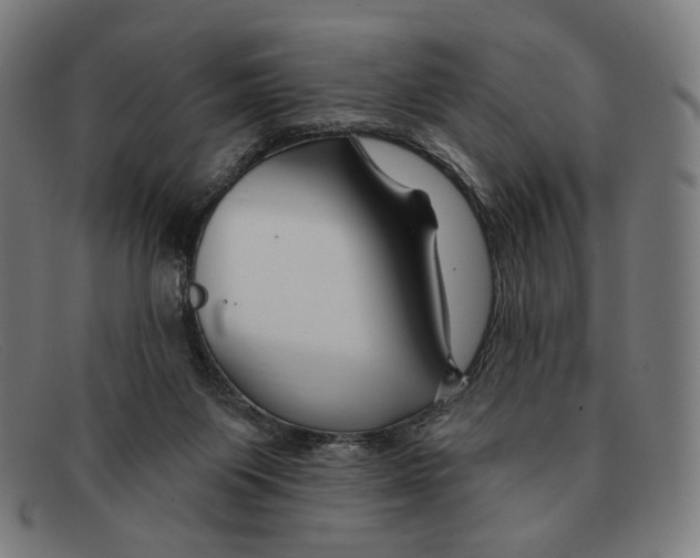 X0000091470119200709131800