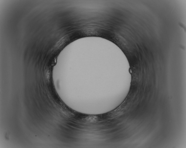 X0000091470124200709131800