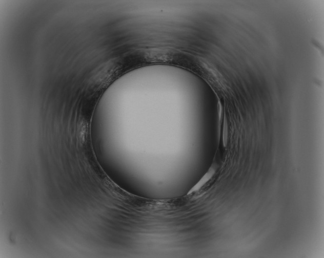 X0000091470125200709131800