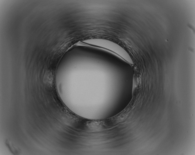 X0000091470129200709131800