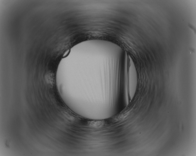 X0000091470135200709131800