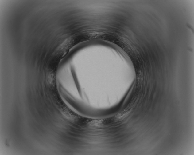 X0000091470138200709131800