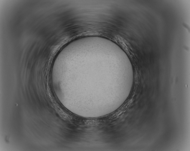 X0000091470145200709131759