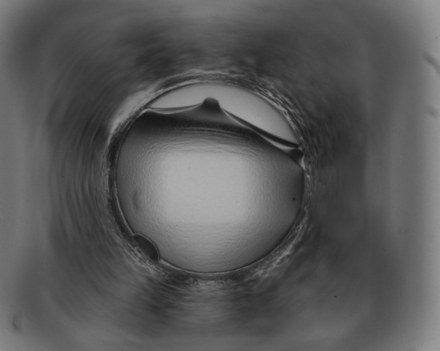 X0000091470149200709131759