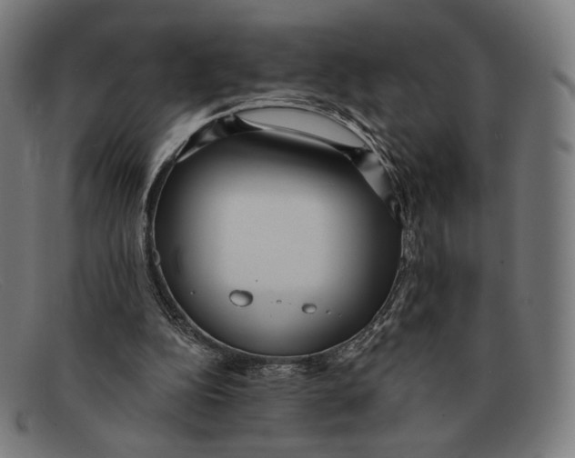 X0000091470152200709131759