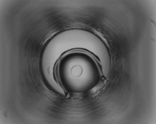 X0000091470154200709131759