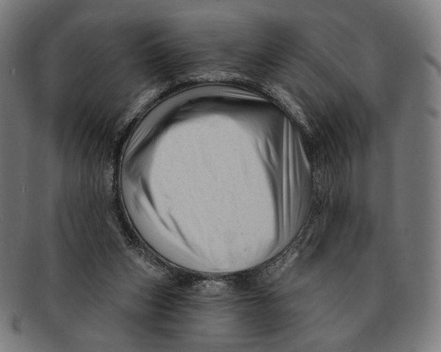 X0000091470159200709131759