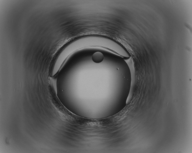 X0000091470160200709131759