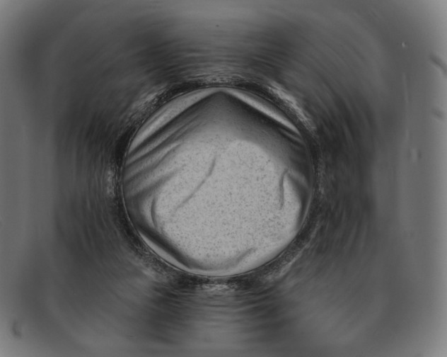 X0000091470161200709131759