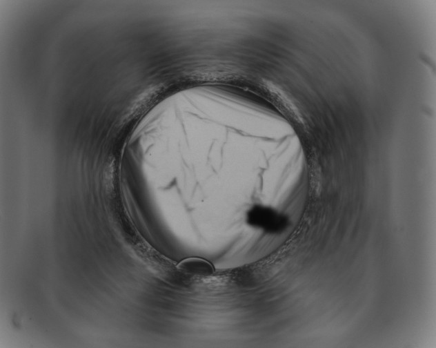 X0000091470163200709131759