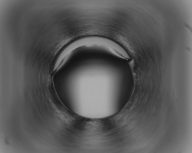 X0000091470164200709131759