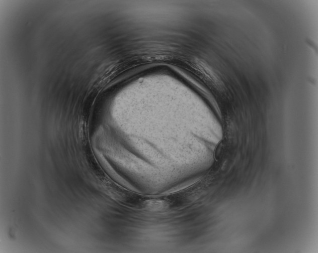 X0000091470169200709131759