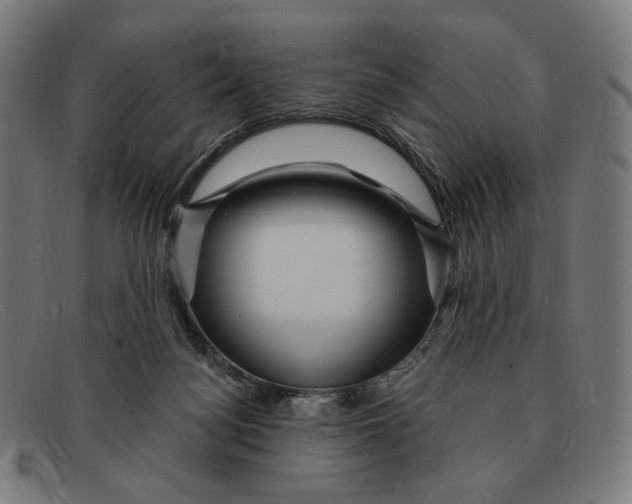 X0000091470172200709131759