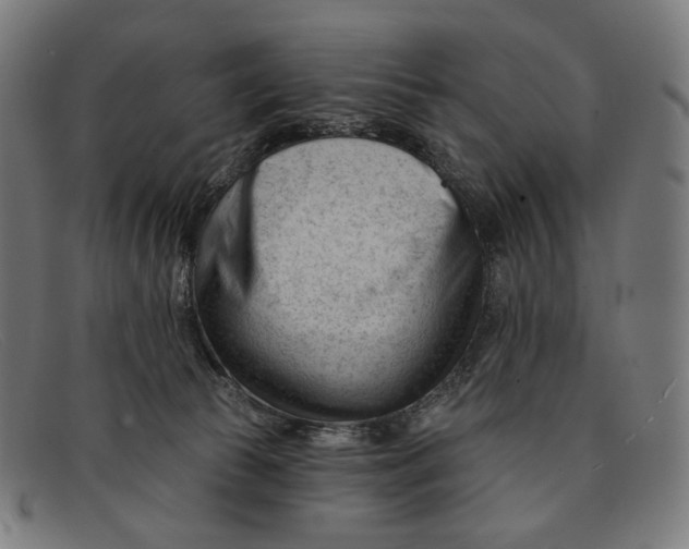 X0000091470177200709131759