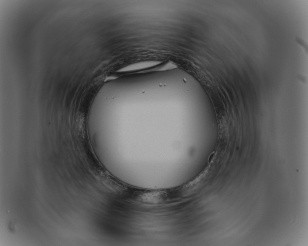 X0000091470178200709131759