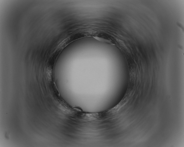 X0000091470188200709131800