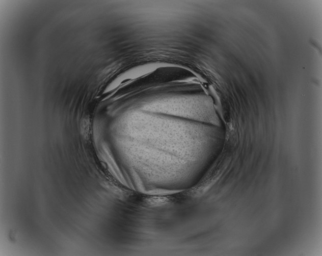 X0000091470189200709131800