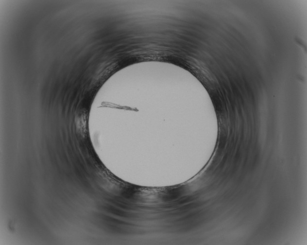 X0000091470190200709131800