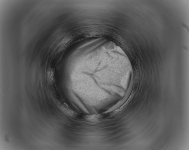 X0000091470191200709131800