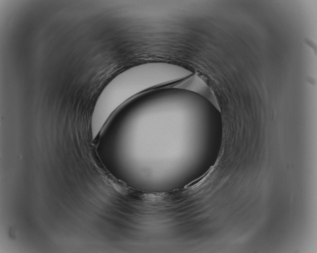 X0000091470192200709131800