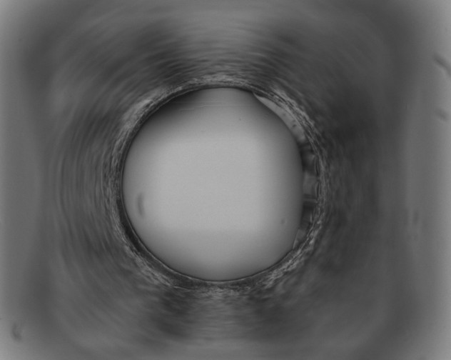 X0000091470193200709131759