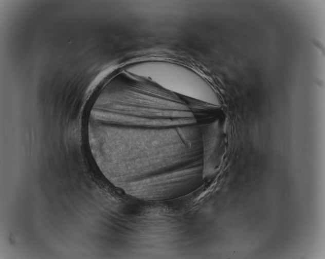 X0000091470200200709131759