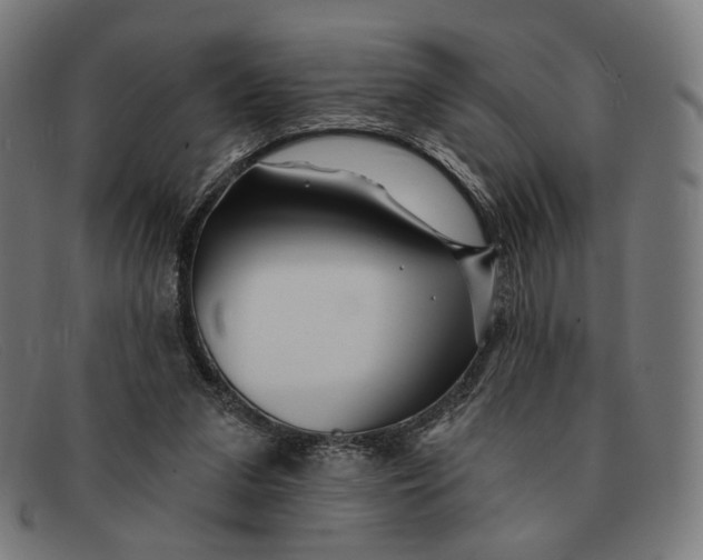 X0000091470207200709131759