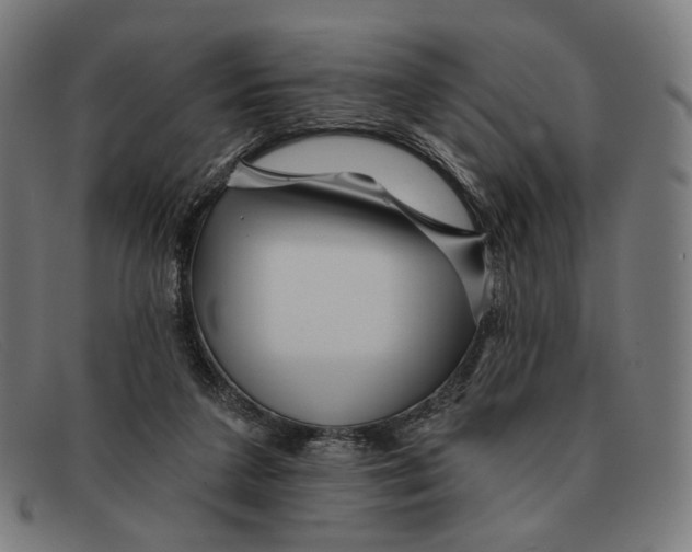 X0000091470211200709131759