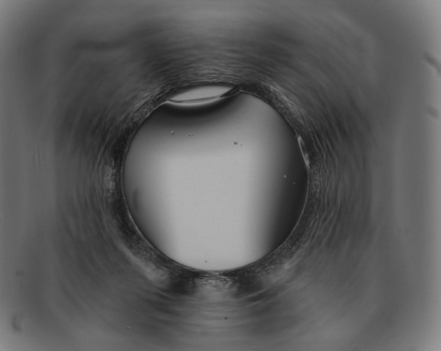 X0000091470215200709131759