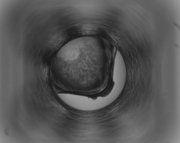 X0000091470219200709131759