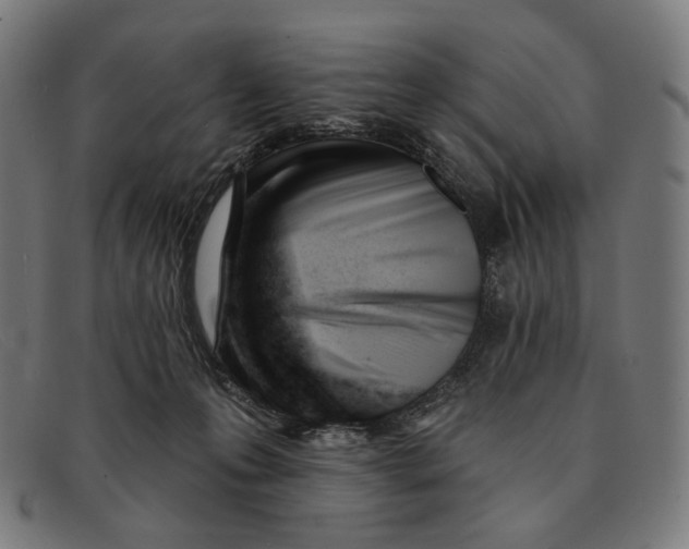 X0000091470223200709131759