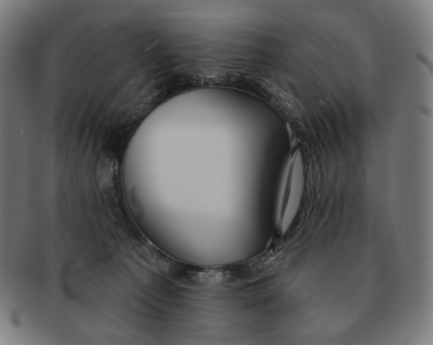 X0000091470225200709131759