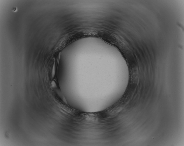 X0000091470229200709131759