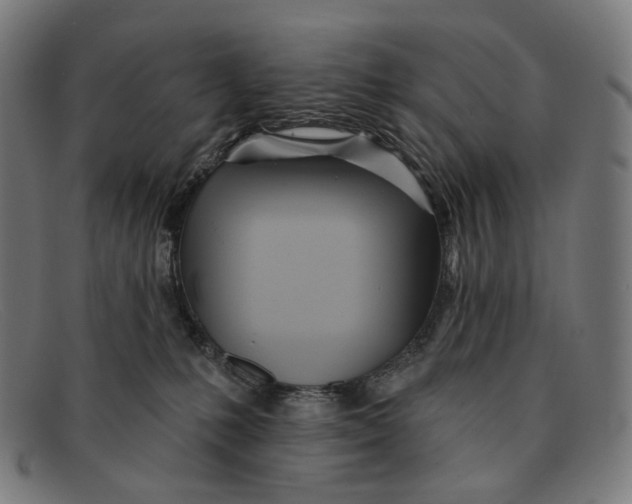 X0000091470231200709131759