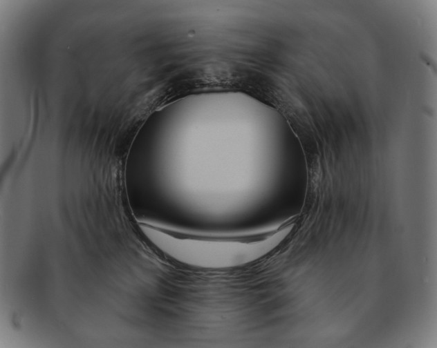 X0000091470233200709131759