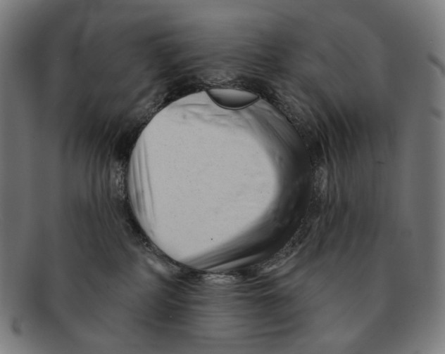 X0000091470234200709131759